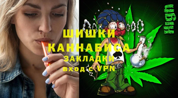 шишки Алзамай