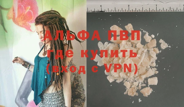 шишки Алзамай