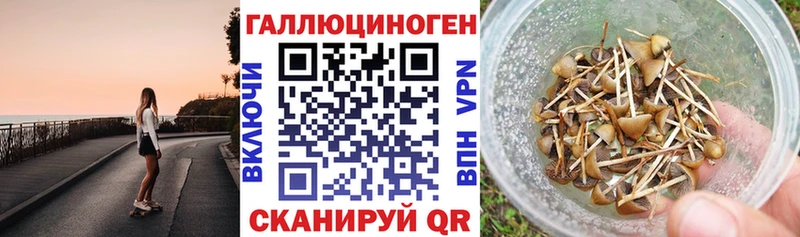 даркнет сайт Кызыл Галлюциногенные грибы Cubensis